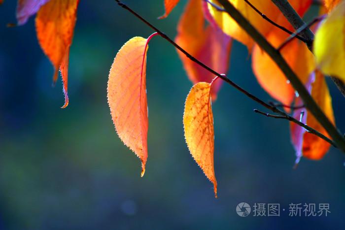 亚洲日韩精品无码中文字幕专区,激动五月升综合网,A级无遮挡超级高清-在线观看